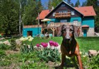 Willa Drewniana Ra Agroturystyka noclegi